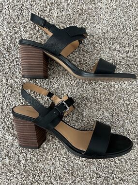 Violet & Red Black Block Heel Sandal
